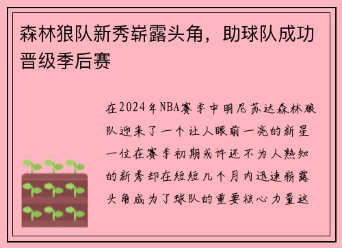 森林狼队新秀崭露头角，助球队成功晋级季后赛